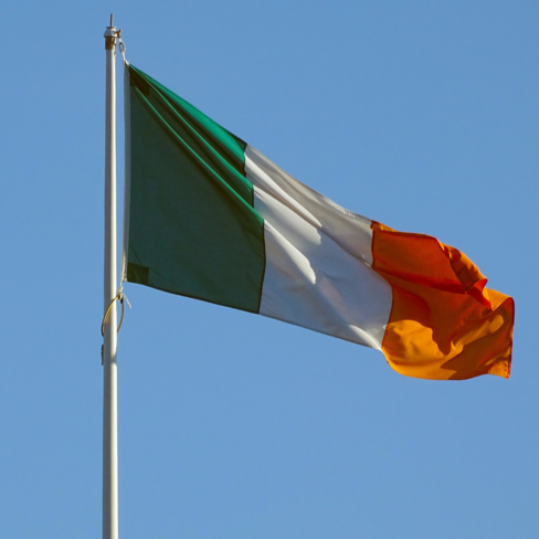 Movimentos Sociais da Irlanda