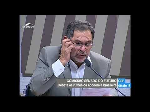 À Comissão Senado do Futuro (CSF), o economista Julio Miragaya debate rumos da economia brasileira