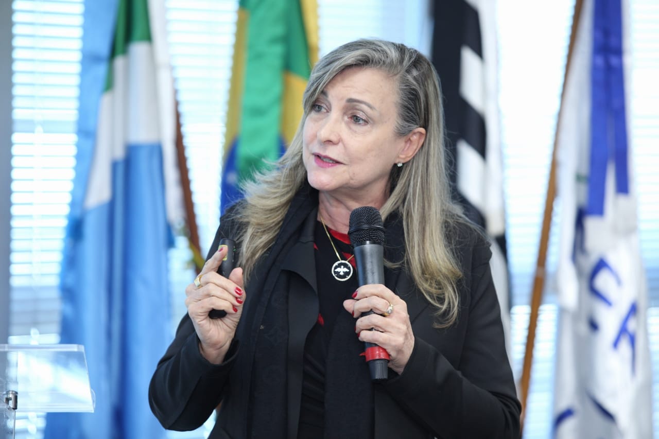 Palestra: “Efetividade dos direitos sociais em contexto de austeridade”, M.L.Fattorelli – I Fórum Nacional de Direitos Humanos da AJUFE – FONADIRH – São Paulo/SP