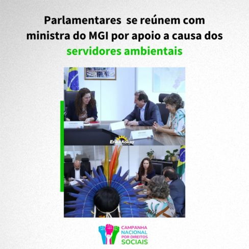 Parlamentares  se reúnem com ministra do MGI por apoio a causa dos servidores ambientais
