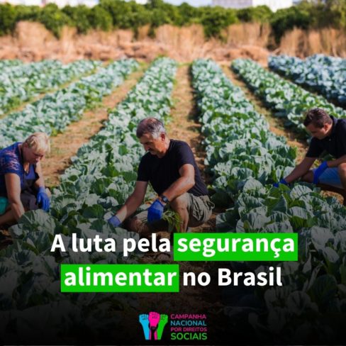 A luta pela segurança alimentar no Brasil