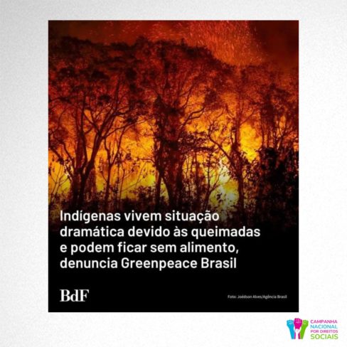 Indígenas vivem calamidade com queimadas e podem ficar sem alimentos