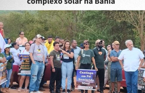 População reage a desmatamento da Caatinga para instalação de complexo solar na Bahia