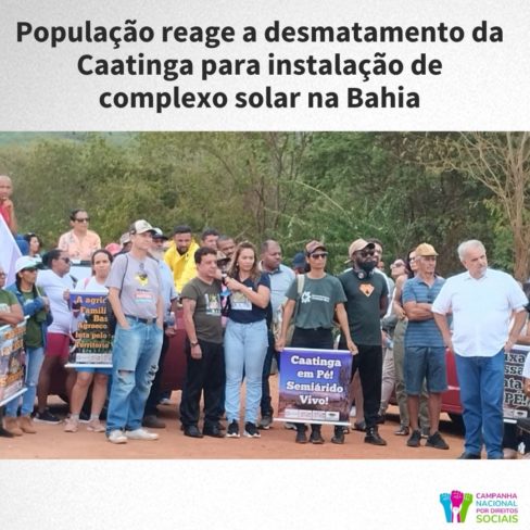 População reage a desmatamento da Caatinga para instalação de complexo solar na Bahia