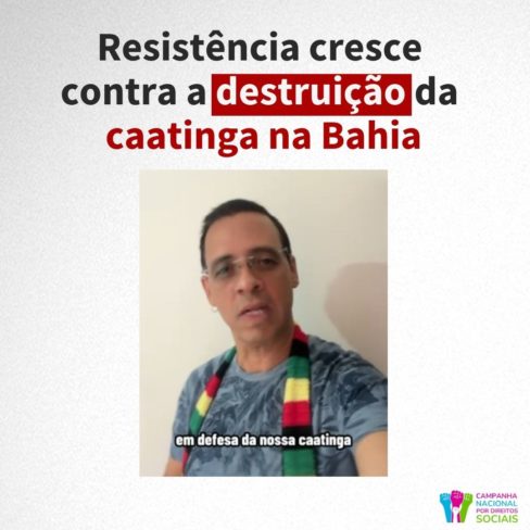 A resistência cresce contra a destruição da caatinga na Bahia