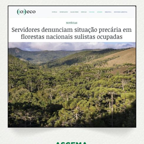 Servidores denunciam situação precária em florestas nacionais sulistas ocupadas