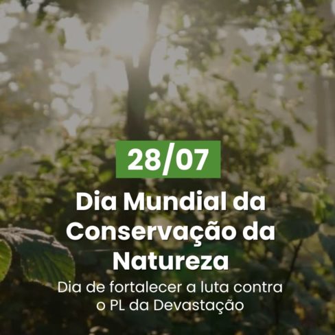 28 de julho – Dia Mundial da Conservação da Natureza: é hora de Lula vetar o PL da Devastação!