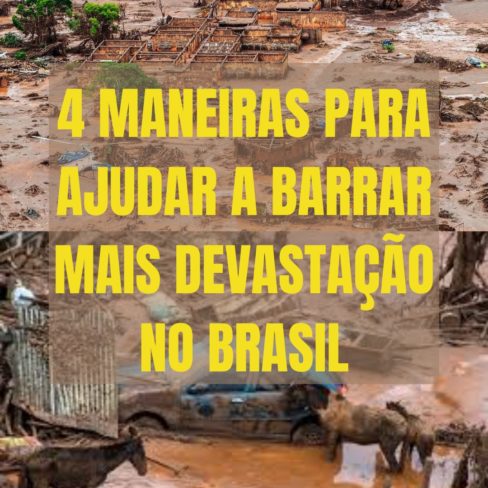 4 maneiras para ajudar a barrar mais devastação no Brasil 4 maneiras para ajudar a barrar mais devastação no Brasil