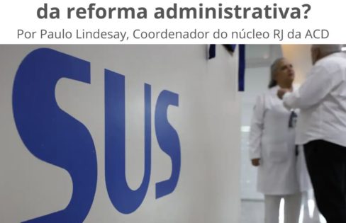 O Brasil é um Estado paquiderme, caro e ineficiente, como afirmam os defensores da reforma administrativa? Por Paulo Lindesay