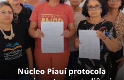 Núcleo Piauí da ACD protocola requerimento por audiência sobre Dívida Pública