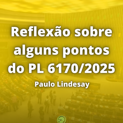 Reflexão sobre alguns pontos do PL 6170/2025, por Paulo Lindesay