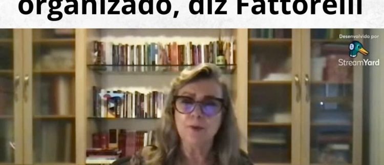 PEC 38: A ausência de Estado empurra o país ao domínio do crime organizado, diz Fattorelli