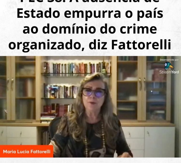PEC 38: A ausência de Estado empurra o país ao domínio do crime organizado, diz Fattorelli