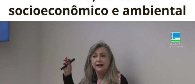 Fattorelli: Financeirização levam a concentração de renda, atraso socioeconômico e ambiental