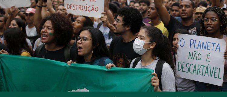 Conscientização, articulação e mobilização: ações urgentes contra a devastação ambiental
