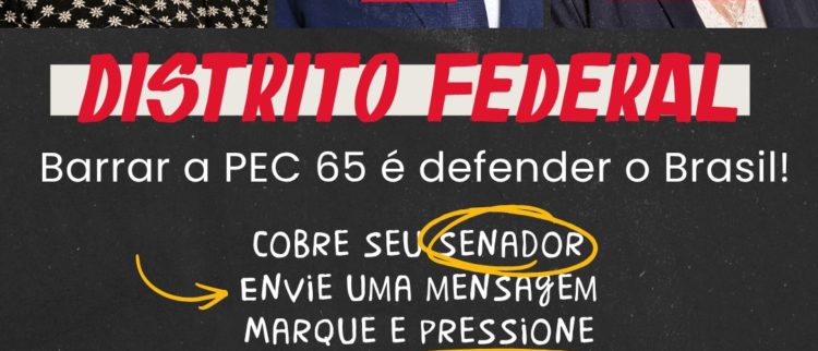 MOBILIZAÇÃO PELO BANCO CENTRAL, CONTRA A PEC 65, EM DEFESA DO BRASIL