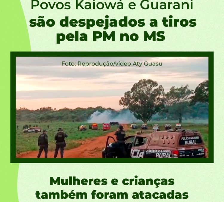 Povos Kaiowá e Guarani são despejados a tiros pela PM no MS. Mulheres e crianças também foram atacados
