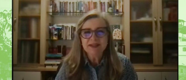 A Verdadeira democracia é aquela que garante direitos iguais para todos, diz Fattorelli